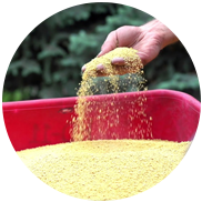Corn Gluten Fertilizer